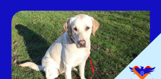 33333333333333333333333