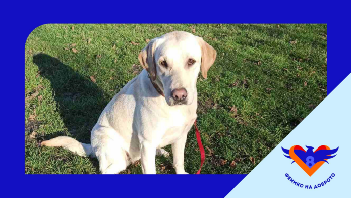 33333333333333333333333