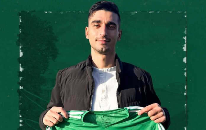 mario ivov mario ivov