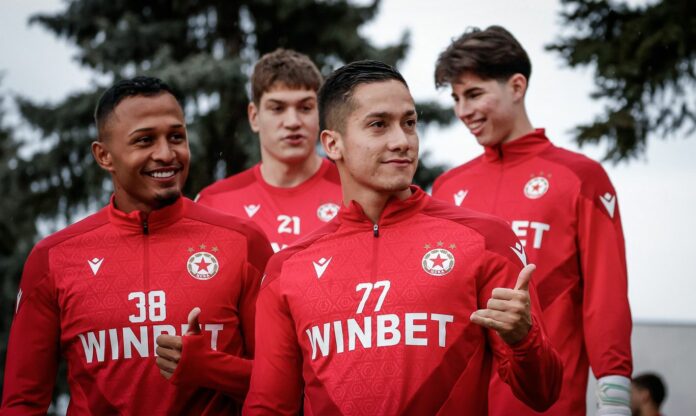 alehandro piedraita leo pereira