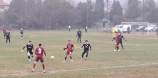 chernomoretz fratriq (8)