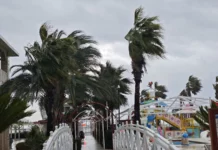 viber image 2026 01 22 16 36 29 942.l