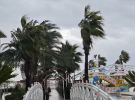 viber image 2026 01 22 16 36 29 942.l