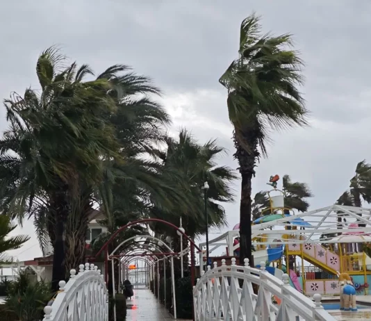 viber image 2026 01 22 16 36 29 942.l