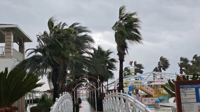 viber image 2026 01 22 16 36 29 942.l viber image 2026 01 22 16 36 29 942.l