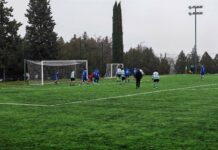 Страхотен мач и победа за младите акули на Георги Терзиев(снимки) viber izobrazhenie 2026 01 24 12 45 17 492