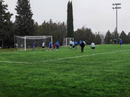 viber izobrazhenie 2026 01 24 12 45 17 492