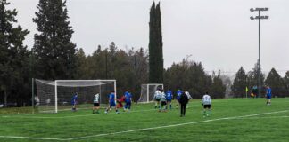 viber izobrazhenie 2026 01 24 12 45 17 492