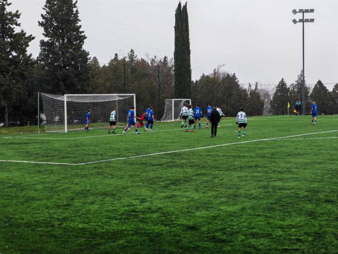 viber izobrazhenie 2026 01 24 12 45 17 492