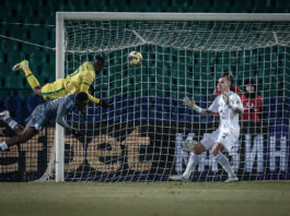 ludogorets levski barnard tekpetei svetoslav vucov