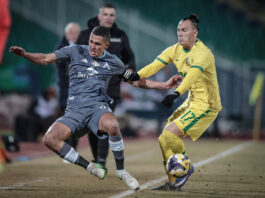 ludogorets levski francisko son georgi kostadinov