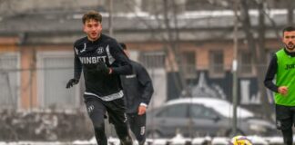 miha tardin