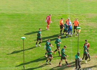 neftohimik nesebar (7)