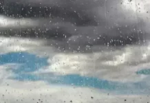 dajd prozorec 2 2 1 1 1 3 2.l