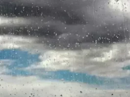 dajd prozorec 2 2 1 1 1 3 2.l