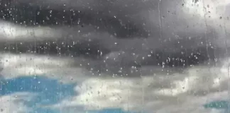 dajd prozorec 2 2 1 1 1 3 2.l