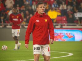 filip krastev