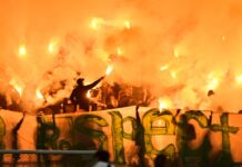 botev plovdiv fenove