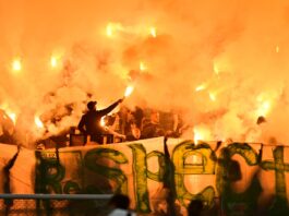 botev plovdiv fenove