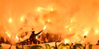 botev plovdiv fenove