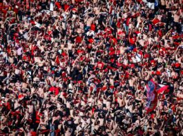 cska fenove