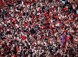 cska fenove