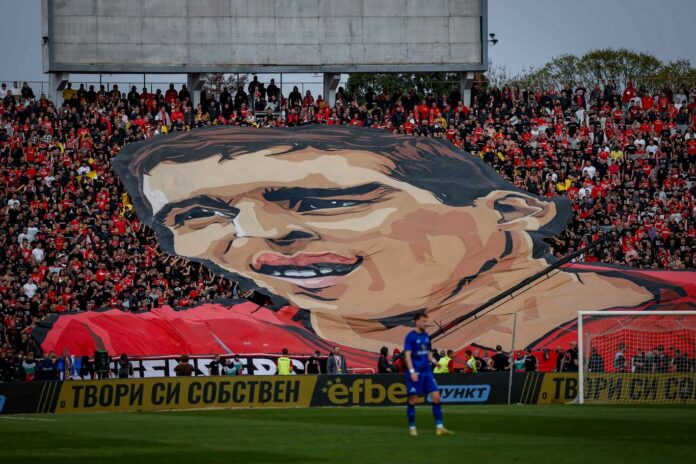 cska fenove