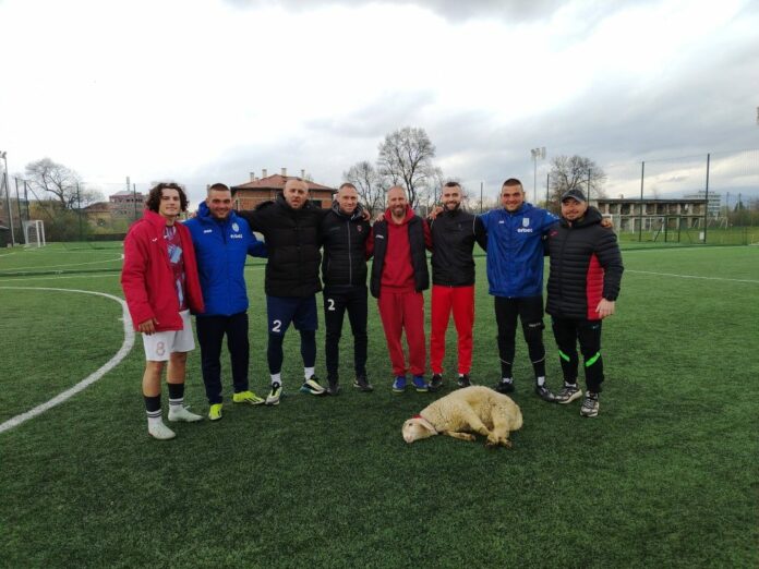 starchetata starchetata