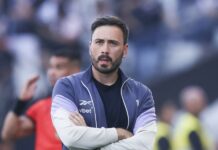 davide ancheloti