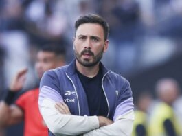 davide ancheloti