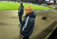 fernando gaspar laborie darko tasevski