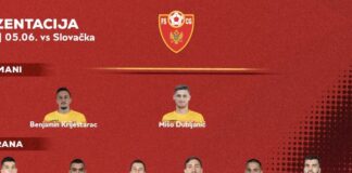 gacevic