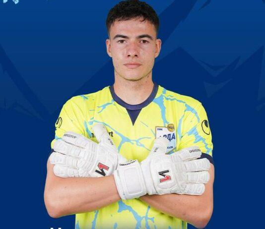ivailo nedelchev