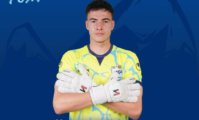 ivailo nedelchev