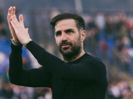 sesk fabregas