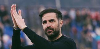 sesk fabregas