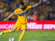 Tigres UANL v Necaxa Torneo Apertura 2017 Liga MX