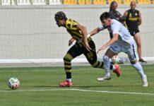 botev plovdiv arda meoti