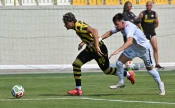 botev plovdiv arda meoti