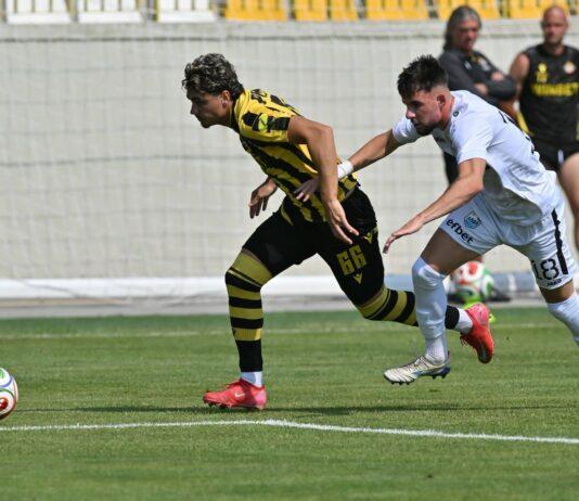 botev plovdiv arda meoti