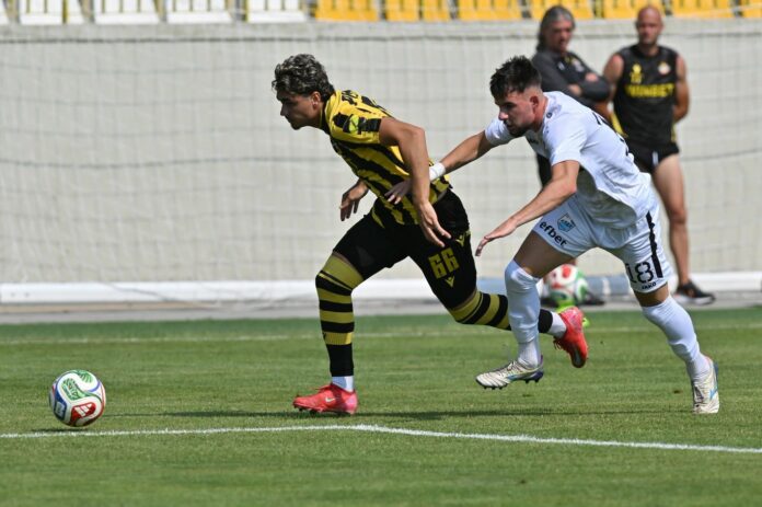 botev plovdiv arda meoti