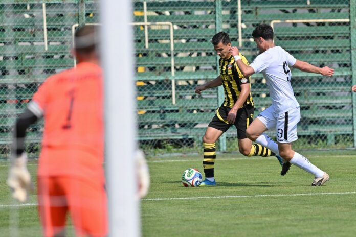 botev plovdiv arda nikola iliev viktor liubenov