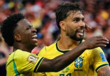 braziliq vinisius