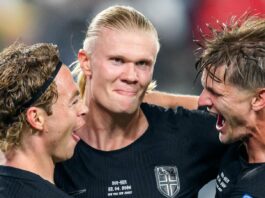 norvegiq erling holand