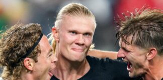 norvegiq erling holand