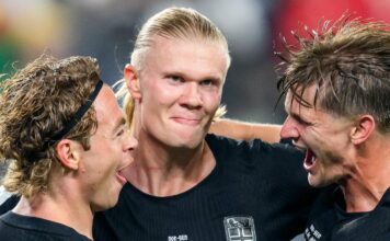 norvegiq erling holand