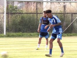 reinaldo