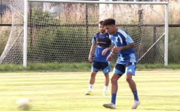 reinaldo