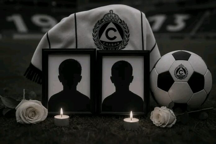 slavia detsa