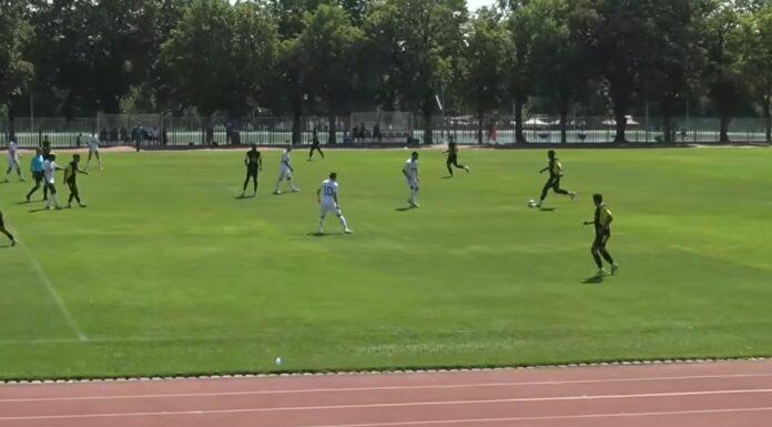 arda beitar